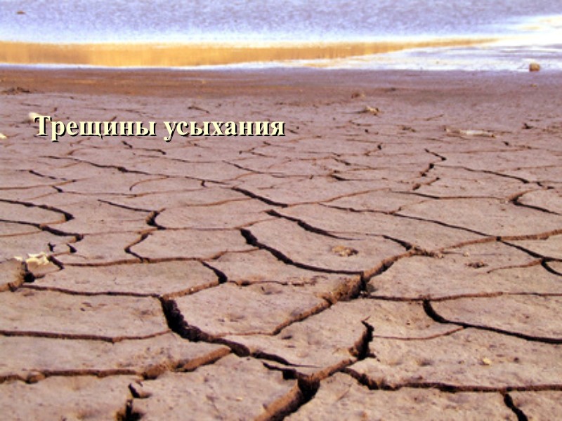 Трещины усыхания